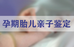 在[宜宾]刚怀孕需要怎么办理亲子鉴定,宜宾产前亲子鉴定收费多少